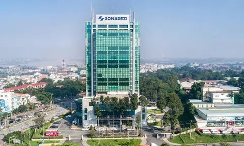 Tổng giám đốc Sonadezi Giang Điền xin từ nhiệm