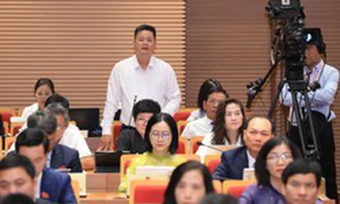 HĐND TP Hà Nội truy trách nhiệm cơ quan quản lý chợ Long Biên về trái cây không rõ nguồn gốc
