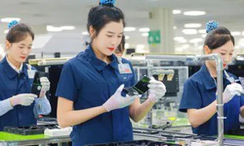 Người sử dụng lao động vi phạm về tiền lương; giờ làm việc; giờ nghỉ ngơi, xử phạt thế nào?