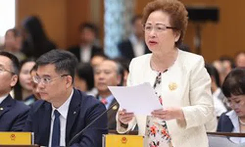 Thương mại toàn cầu biến động do thuế quan và đứt gãy chuỗi cung ứng, Chủ tịch BRG Nguyễn Thị Nga nêu giải pháp quan trọng để tăng sức chống chịu của nền kinh tế