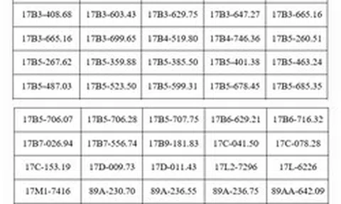 287 chủ phương tiện vi phạm mang biển số sau nhanh chóng nộp phạt nguội theo Nghị định 168 trong danh sách mới nhất của tháng 7