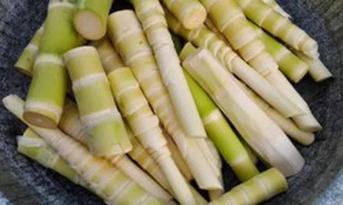 Đừng chủ quan với rau củ: 5 loại quen thuộc chứa độc tố tự nhiên, nấu chưa chín kỹ có thể gây ngộ độc
