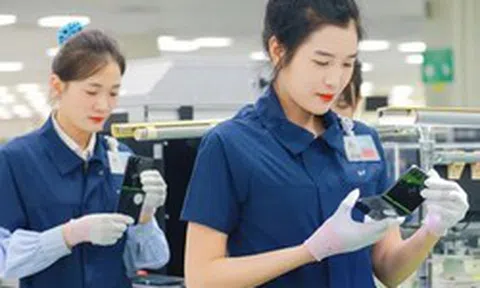 Người sử dụng lao động vi phạm về tiền lương, giờ làm việc xử phạt thế nào?