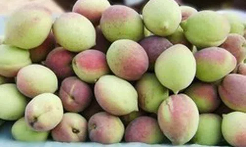 Loại quả "chống viêm tự nhiên", chỉ số đường huyết thấp đang bán đầy chợ Việt: Siêu bổ dưỡng, chuyên gia khuyên nên ăn nhiều