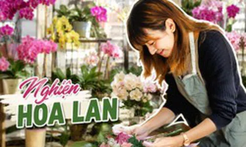 Cô gái khoe phòng khách kín hoa lan và quả quyết: "Tôi sẽ không mua thêm nữa", nhưng ai nhìn cũng chỉ biết bật cười