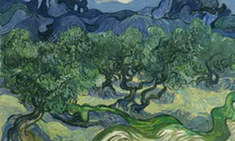 Phát hiện bí mật thú vị bị che lấp 128 năm khi soi kính hiển vi bức tranh nổi tiếng của Van Gogh