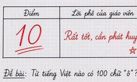 Từ tiếng Việt nào có 100 chữ Ô? - 99% đã thử thách và bó tay!