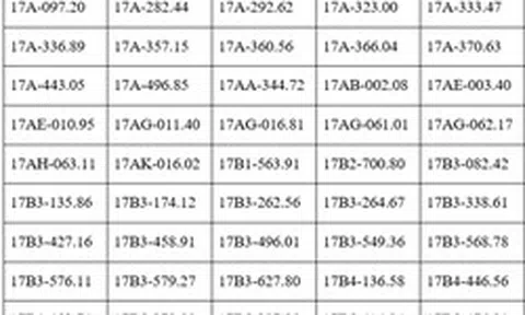Công an đề nghị 250 chủ phương tiện vi phạm mang biển số sau nhanh chóng nộp phạt nguội theo Nghị định 168