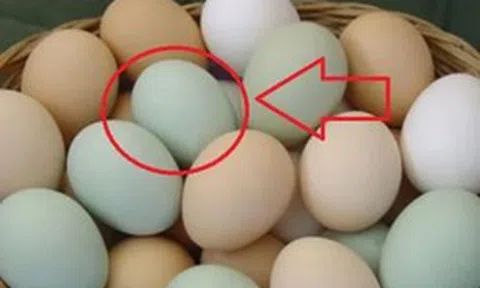 Sự thật về trứng vịt vỏ xanh và vỏ trắng không phải ai cũng biết