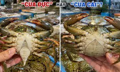 Đi chợ nên mua "cua đực" hay "cua cái"?