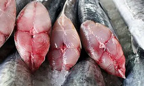 4 loại cá chứa nhiều thủy ngân cao nhất