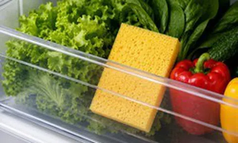 Vì sao nhiều gia đình đặt 1 miếng bọt biển khô trong ngăn rau tủ lạnh vào mùa hè? Công dụng ít ai ngờ