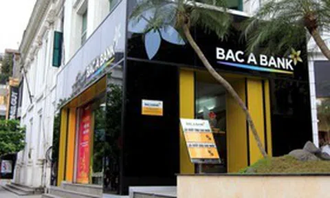 Loạt tồn tại trong hoạt động tín dụng tại 2 chi nhánh Bac A Bank