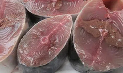 6 loại cá giàu omega-3 bậc nhất