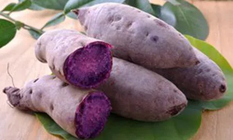 Một loại củ quen thuộc giúp giảm 57% mỡ trung tính trong gan: Người Việt ăn rất nhiều nhưng ít biết cách dùng