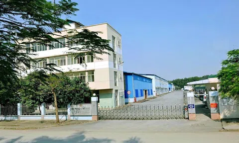 Một doanh nghiệp Nhà nước bất ngờ lãi kỷ lục nhờ cổ tức