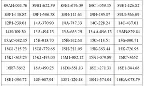 Công an đề nghị 257 chủ xe máy, ô tô vi phạm có biển số sau nhanh chóng nộp phạt nguội theo Nghị định 168
