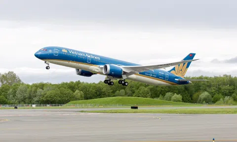 Vietnam Airlines gây bất ngờ
