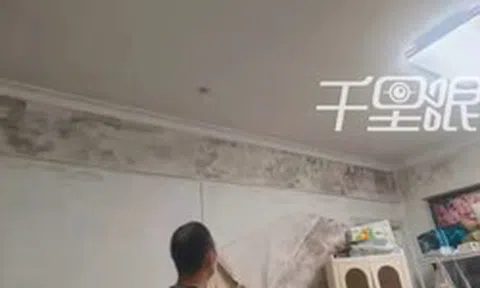 Cả gia đình liên tục đổ bệnh không tìm ra nguyên nhân sau khi đi thuê nhà: Bí mật ẩn sau bức tường bị chủ nhà che giấu