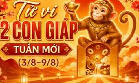 Tử vi tuần mới (3/8-9/8): Xếp hạng 3 con giáp may mắn nhất, công việc lẫn tài lộc đều lên hương