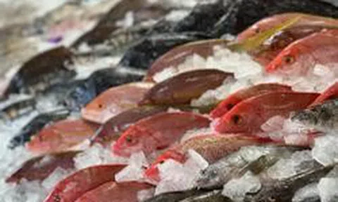 Người bán cá tiết lộ quy tắc “5 không" khi mua cá