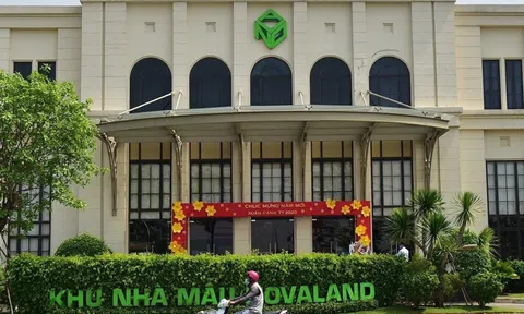 Novaland bán hàng 6 tháng đã gần đạt kế hoạch cả năm