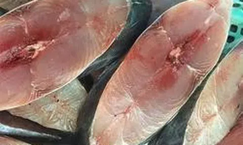 5 loại cá giá rẻ mà bổ ngang cá hồi, cứ ra chợ là thấy