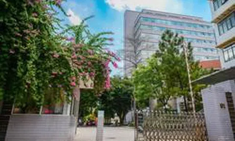 Đúng 3/8, 'Harvard Việt Nam' thành lập 4 trường thuộc đầu tiên, mục tiêu mở tổng cộng 7 trường