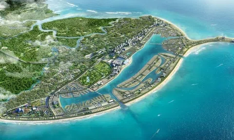 Con gái út của ông Phạm Nhật Vượng tham gia quản trị doanh nghiệp
