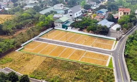 Đất nền có nơi 'bốc hơi' hơn một nửa so với mức giá đỉnh sốt