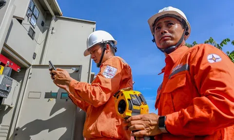 Doanh thu EVN lớn hơn Vingroup và Hòa Phát cộng lại