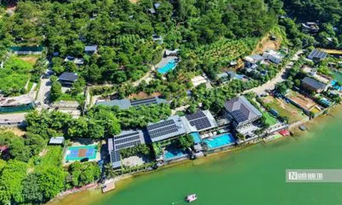 Thành ủy Hà Nội yêu cầu xác minh nhiều villa, homestay "mọc" trong rừng phòng hộ