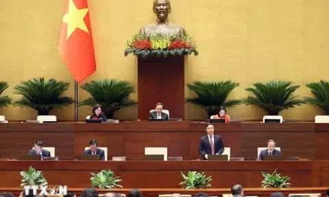 Đại biểu Quốc hội đề xuất kết nối dữ liệu, ngăn chặn hành vi rửa tiền