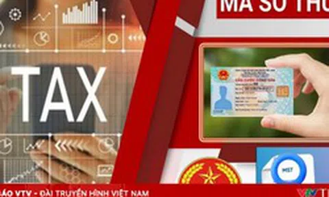 “Làm sạch” 617.000 mã số thuế để minh bạch môi trường kinh doanh