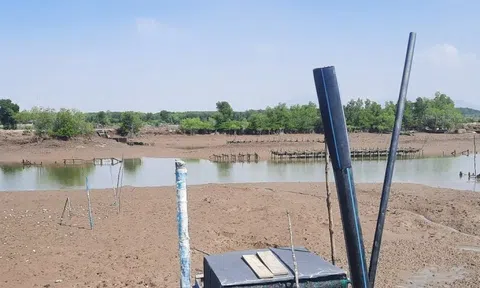 Nhiều doanh nghiệp bị thu hồi đất vì không đưa vào sử dụng