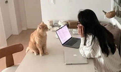 Có nên chuyển nhà để tiết kiệm 1-2 triệu mỗi tháng?