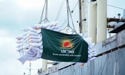 Tập đoàn Lộc Trời bị hủy tư cách công ty đại chúng