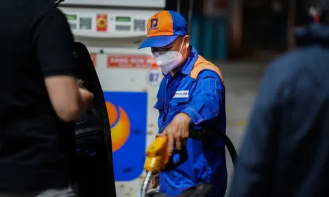 Cổ đông Petrolimex đón tin vui