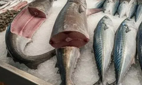 6 loại cá "ngậm" nhiều thủy ngân bậc nhất