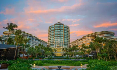 Tập đoàn IHG 'đặt cược' tăng trưởng vào Việt Nam