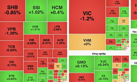 VN-Index giằng co, dòng tiền thận trọng trong phiên 17/8