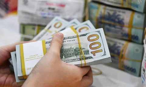 Cả tỷ USD vốn ngoại đã đổ vào các ngân hàng
