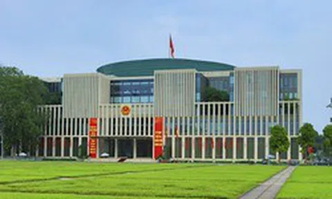 Chính sách đặc thù: Miễn kỷ luật; chưa xử lý kỷ luật đối với cán bộ, công chức, viên chức, lực lượng vũ trang