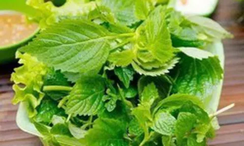Tin vui cho những người thích ăn rau kinh giới!