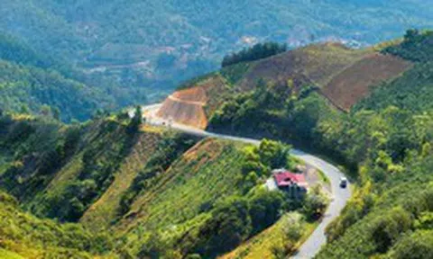 Người dân sống tại tỉnh nào có thu nhập bình quân thấp nhất Việt Nam, chỉ 2,5 triệu đồng?