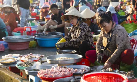 Hộ kinh doanh doanh thu dưới 10 tỷ/năm sẽ tạm nộp thuế theo phương án này