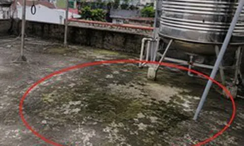 Lời khuyên cho những gia đình lâu ngày không vệ sinh sân thượng