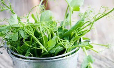 7 loại rau nên trồng ngay trong tháng 9, có loại chỉ ít tuần đã bắt đầu được thu hoạch
