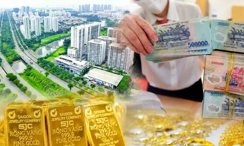 Có tiền nhàn rỗi nên đầu tư gì lúc này?