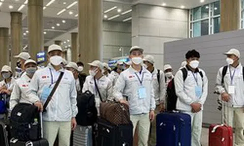 Tự ý ở lại nước ngoài khi hết hợp đồng lao động bị phạt đến 100 triệu đồng